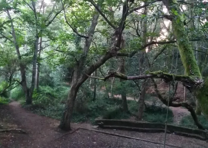La Casa De Aldan Entre El Mar Y El Bosque